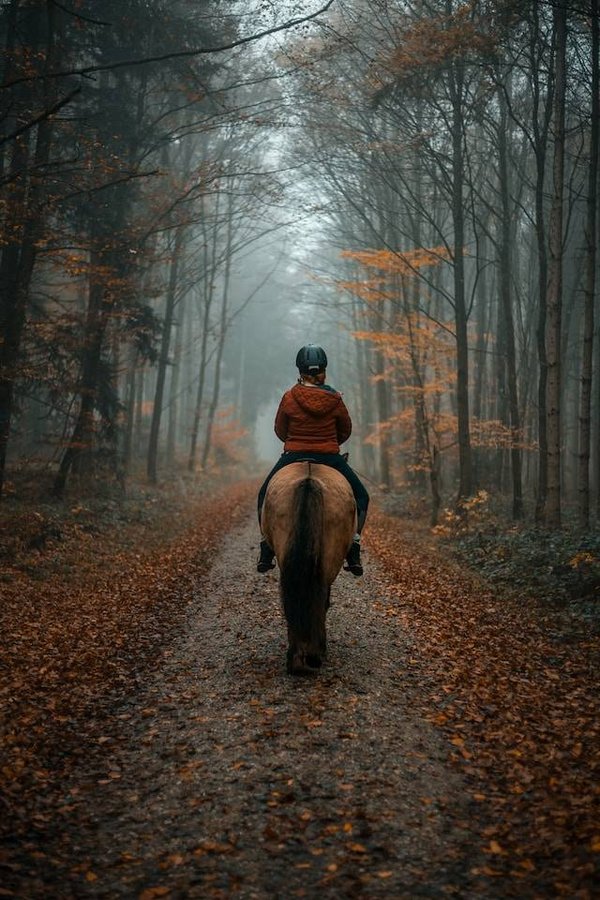 Loisirs de vacances en Méditerranée: Équitation au cœur de la nature