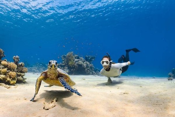 Loisirs de vacances en Méditerranée : Plongée sous-marine et merveilles sous-marines