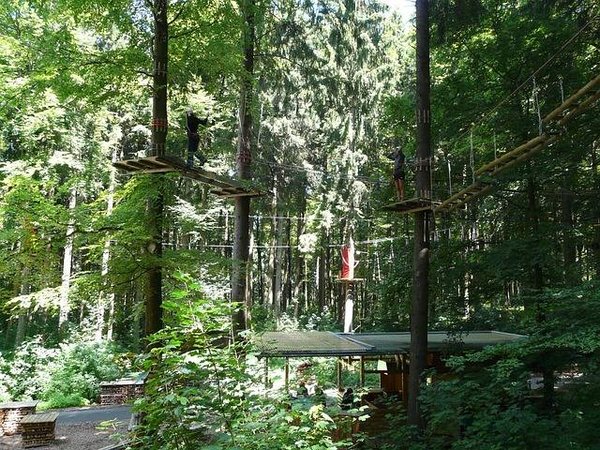 Loisirs de vacances en Méditerranée : Accrobranche au cœur des arbres
