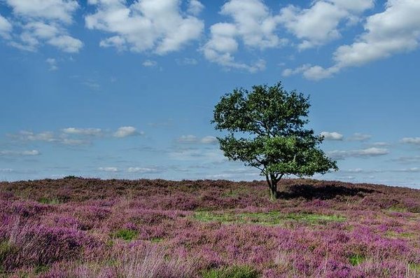 Trouver des locations de vacances idéales dans les Landes