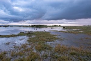 Réservez des locations vacances dans les Landes, pour un séjour au cœur de la nature